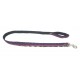 Super Dog Nylon Leash With Velvet 1.25 Inch